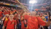 World Cup Football GIF