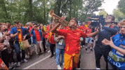 World Cup Football GIF