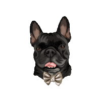 Otiboaty Sticker by Pickle's Pawtraits
