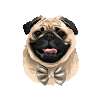 Otiboaty Sticker by Pickle's Pawtraits