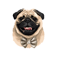 Otiboaty Sticker by Pickle's Pawtraits