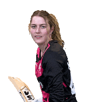 Hit Bat Sticker by Somerset County Cricket Club