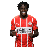 Football Celebrate Sticker by PSV