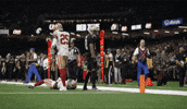 2025Saintsnfl GIF by New Orleans Saints