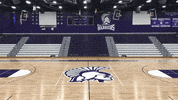 Basketball Warriors GIF by WinonaStateATH