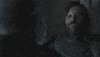 hbo GIF by Game of Thrones