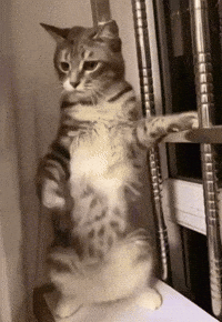 Hello Kitty Dancing GIF