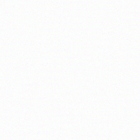 yoondjembe typography calligraphy turtle typo GIF