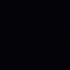 animation art GIF by Evan Hilton