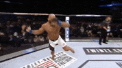 Ufc 205 Mma GIF by UFC