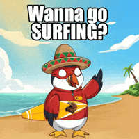 Surf Surfing GIF by Puffins