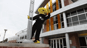 Wu_Shock wu wsu wushock shockers GIF