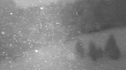 Video gif. Snowflakes float past us, sparkling in the light. A vague gray landscape of pine trees and snow-covered hillside is in the distance.
