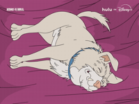 King Of The Hill Dog GIF by HULU