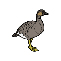 naupakastore nene naupaka naupakastore hawaiianbird Sticker