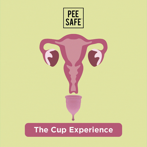 PeeSafe giphyupload menstruation periods cups GIF