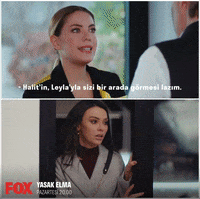 Fox Foxturkiye GIF by NOW