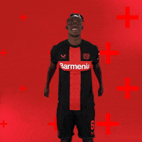 Bayer 04 Love GIF by Bayer 04 Leverkusen