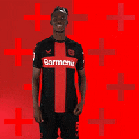 Bayer 04 Love GIF by Bayer 04 Leverkusen