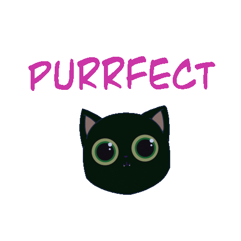 thecattomtom cat blackcat purr tomtom Sticker