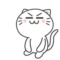 Kiki Cat GIF by KIKI