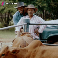 Series Love GIF by Showmax