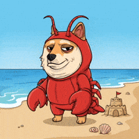 Shiba Inu Summer GIF by Doge Pound