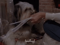 season 6 netflix GIF by Gilmore Girls 