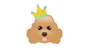 Toy Poodle Queen Sticker by zoopeez