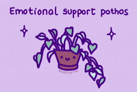 Plant Support GIF