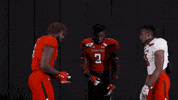 Texas Tech Red Raiders Football Reaction Pack GIF by Texas Tech Football