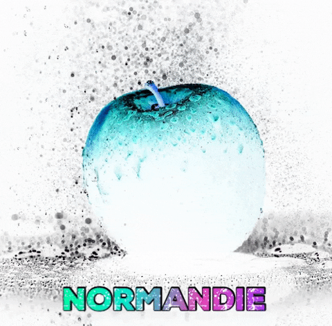normandiedigitaleconseil giphygifmaker bleu normandie rouen GIF