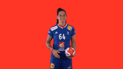 Ffhandball GIF by Fédération Française de Handball