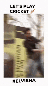 Cricket Ipl GIF