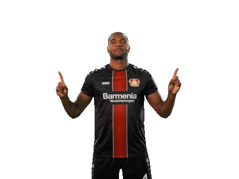 bundesliga swipe up Sticker by Bayer 04 Leverkusen