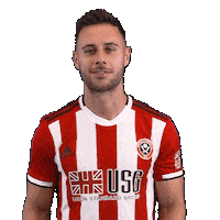 Premier League Soccer Sticker by Sheffield United Football Club