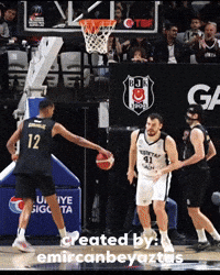 Ante Zizic GIF