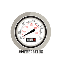 Meat Hamburger Sticker by Weber Benelux