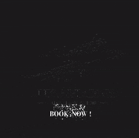 Private Jet GIF by Lux-Aviator