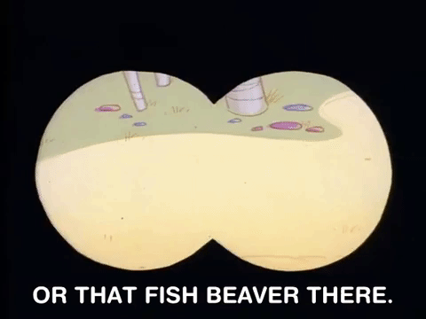 nickrewind giphydvr nicksplat angry beavers giphyab005 GIF