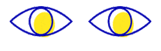 Every Single Day Eyes Sticker by Supergoop!