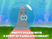 season 8 episode 13 GIF by SpongeBob SquarePants