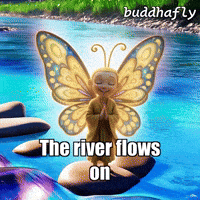 Water Crystal GIF by BuddhaFlyJourney
