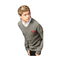 niall horan STICKER by imoji
