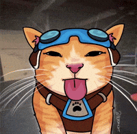 ikadakat overwatch jetpack cat overwatch meme GIF