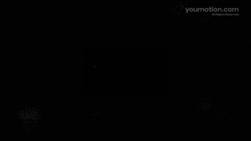 Animated Scribble Lyric Animations