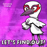 See Find Out GIF by VeeFriends