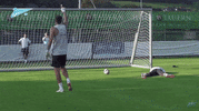 winner dzyuba GIF by Zenit Football Club