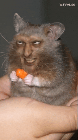 Trending Feels GIF by Darwin