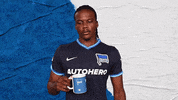 Bundesliga Berlin GIF by Hertha BSC